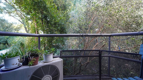 Alquiler Casa De 6 Ambientes En Olivos Con Pileta