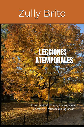 Libro: Lecciones Atemporales: Conexión Cielo-tierra, Sueños,