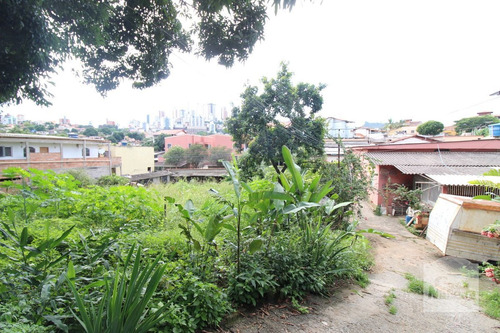 Imagem 4 de 5 de Lote À Venda No Parque São José - Código 259986 - 259986