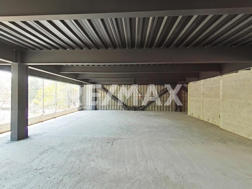 Local Comercial Renta San Jose Insurgentes