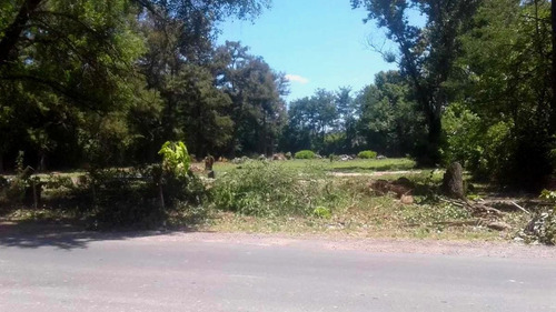 Imagen 2 de 3 de Terreno - Pilar Centro