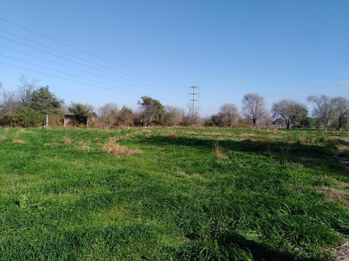 Imagen 30 de 30 de Quinta - Guiñazu