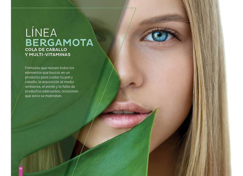 Shampoo Bergamota Elementos Concentrados Florigan® 1lt.