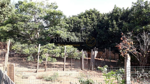 Imagem 2 de 16 de Chácara Em Franca - Sp - Ch0007_rncr