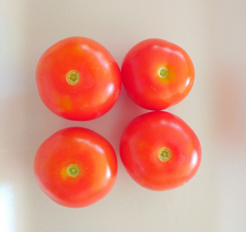 Imagen 3 de 5 de Asesorías Siembra Semillas Tomate Cherry