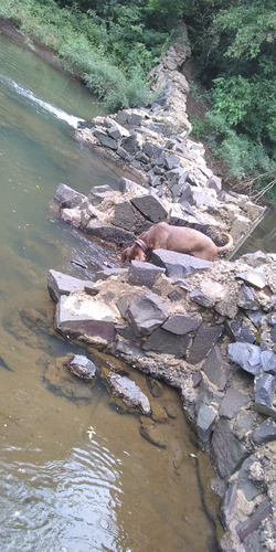 Vendo Chacras Sobre Ruta 4 Arroyo Martires