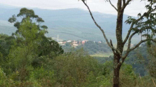 Imagem 5 de 6 de Sítio, Pinhal, Cabreúva - R$ 9 Mi, Cod: 42230 - V42230