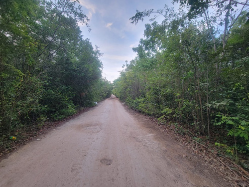 Vendo Hectarea Alamos Uso De Suelo Mb