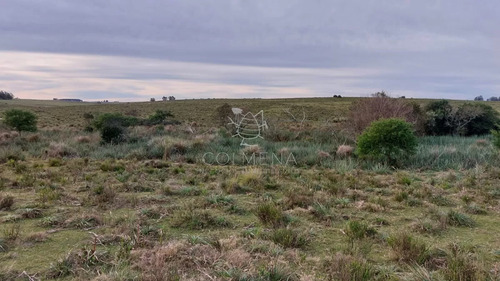 114 Has 9201 M2 En Paraje Jose Ignacio