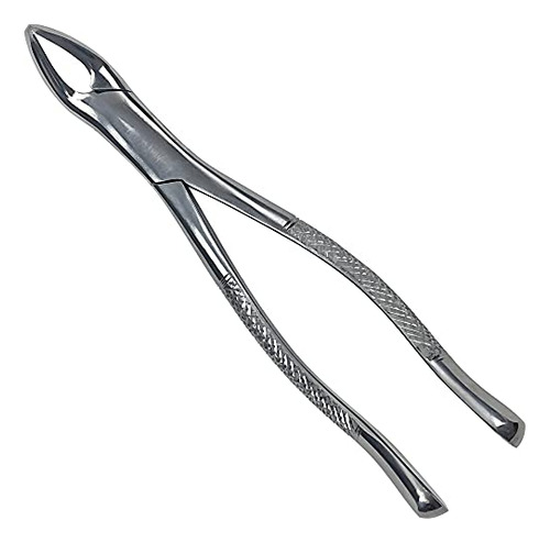 Heavy Duty Dental Extracting Forceps # 151 Apical Force...