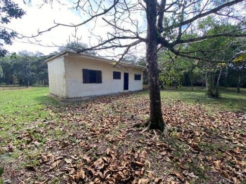 Imagem 12 de 14 de Ampla Chácara Prox A Rodovia 2dorm, Itanhaém- Bopiranga 8439