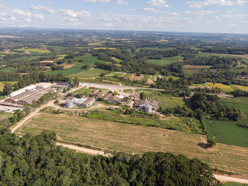 Imagem 9 de 17 de Terreno/ Área 20.000m² A Venda Em Araucária Pr. - Te00002 - 68828711