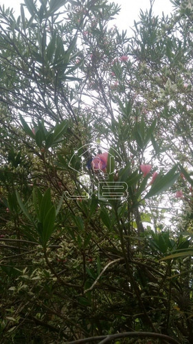 Imagem 5 de 6 de Chácara À Venda Em Loteamento Chácaras Gargantilhas - Ch008047
