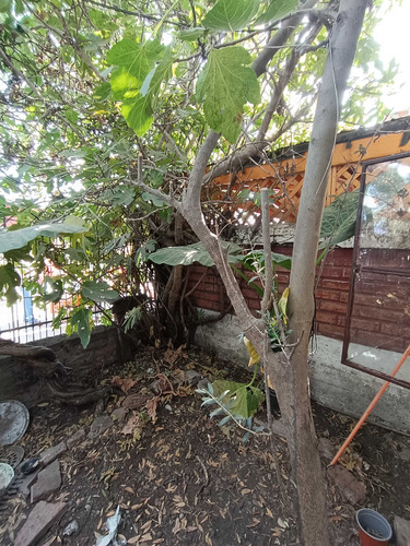 Venta Casa 3d 2b, Cercano Metro Las Rejas (86919)