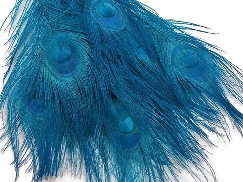 Imagen 4 de 4 de Pluma Pavo Real Cola Real; Turquesa Teñido; 5 Pieza Pack