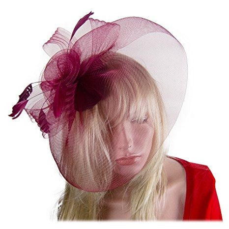 Sacasusa Fascinator La Pluma Del Sombrero De Malla De Gasa C