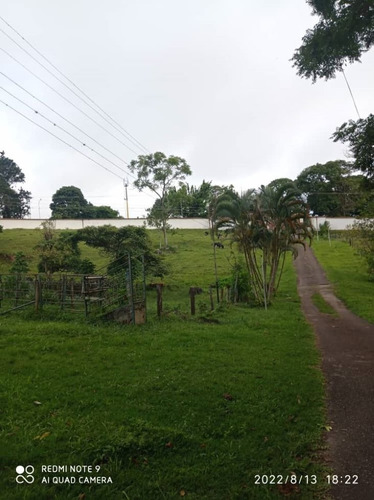 Imagen 2 de 7 de Venta Finca En Avenida Los Agustinos Y Ferrero Tamayo