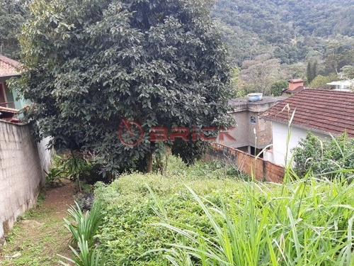 Imagem 11 de 18 de Ótimo Terreno Com 7390 M² No Bom Retiro. Teresópolis- Rj. - Te00258 - 34349368