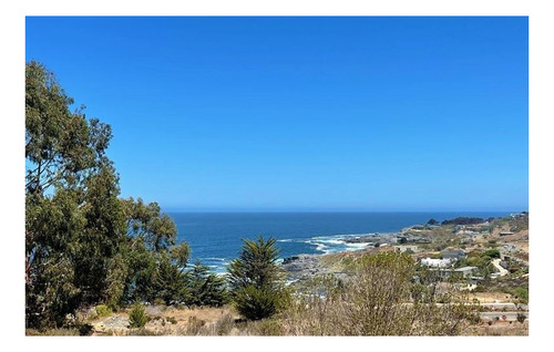 Imagen 5 de 5 de Sitio En Venta En Zapallar Norte