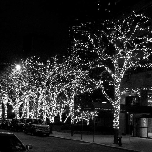 Imagen 6 de 10 de Luces Navidad Energía Solar 200 Led Blanco Frio 20 Mt Cuotas