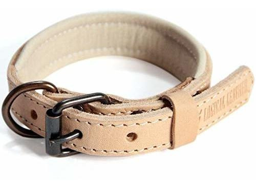 Piel Lógica Collar De Perro Acolchada - Mejor De Grano Lleno