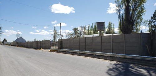 Imagen 8 de 30 de Alquilo Predio 6500 M2 Galpón 1900 M2 300 M2 Oficin Neuquen