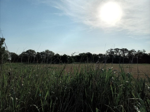 Imagen 8 de 9 de Campo En El Quebrachal