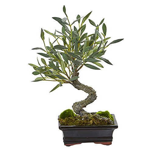 Árbol De Bonsai Artificial Casi Natural Mini Olive