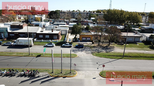 Imagen 5 de 22 de Local Frente Al Shopping Colonia
