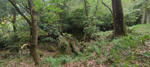 Terreno Enventa En Piedra De Agua En Jilotepec Veracruz