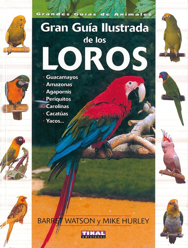 Guia Ilustrada De Los Loros