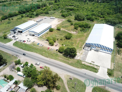 Imagen 5 de 13 de Alquiler De Depósito En Ruta 25 - Zona Comercial, Moreno.