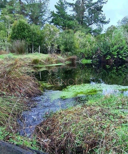 Terreno Construccion En Venta En Los Muermos