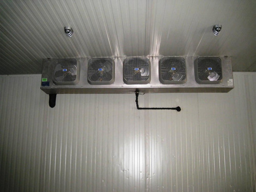 Imagen 4 de 12 de Galpón En Alquiler C/cava Cuarto Zona Industrial Mampote