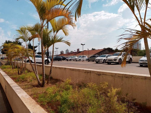 Imagem 15 de 23 de Apartamento - Ap00017 - 68301399