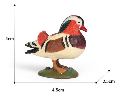 Figuras De Acción Cognitiva Animal De La Estatuilla Del