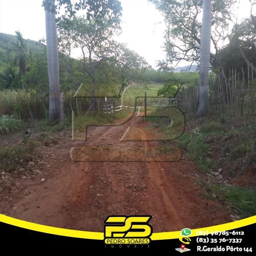 Chácara À Venda, 100000 M² Por R$ 700.000 - Zona Rural - Pirpirituba/pb - Ch0005