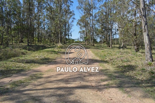Chacras-venta-piriapolis-ch123