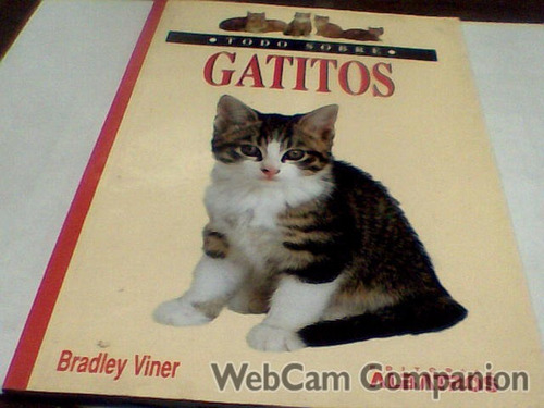 Bradley Viner - Todo Sobre Gatitos (c121)