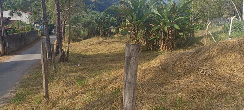 Chacara No Bairro Taquari - Sp 50 Km 23,5 Área De 540m² Sendo 13 De Largura E 42 De Comprimento.