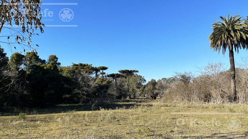 Lote En Venta En Aires De Hudson, Etapa 2. Con Financiación. Hudson