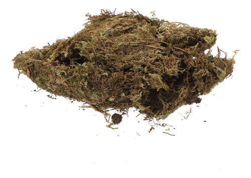 Musgo Seco Moss Habitat, 2 Paquetes