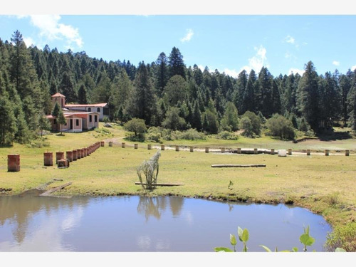 Imagen 1 de 1 de Terreno En Venta Bosque Hermoso Para Tu Cabaña, Fracc Exclusivo