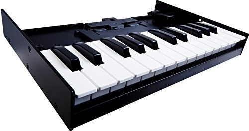 Roland Portable Keyboard Module For Roland Boutique Series