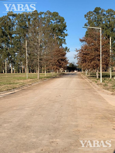 Loteo - Brisas Del Parana - San Pedro (bs.as)