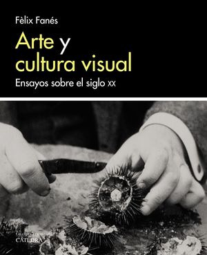 Libro Arte Y Cultura Visual: Ensayos Sobre El Siglo Xx