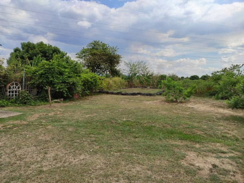 Imagen 4 de 13 de Junior Barreto 04244150764 Vende Finca En Tocuyito, Sector El Oasis. Valencia.