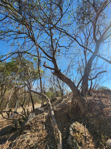 Venta Lote Iris Iii De Buen Tamaño Y Vistas Panorámicas Con Proyecto Incluído Y Todos Los Servicios En Fracc Rancho San Diego Ixtapan De La Sal Edomex