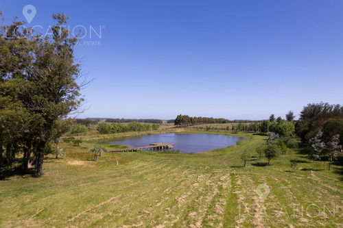 Venta Campo Con Casa 164 Hectáreas, 8 Dormitorios, Ruta 104