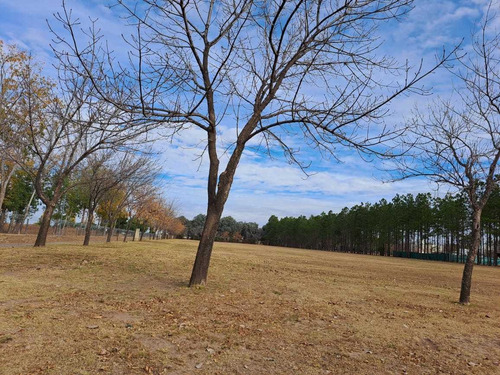 Imagen 11 de 16 de Terreno En Venta Chacras De La Villa
